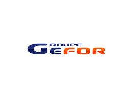 Groupe gefor logo