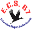 Logo ecs 67