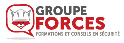 Logo groupeforces web transparent 250px